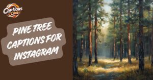Pine Tree Captions for Instagram